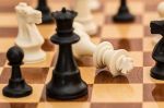 Szkółka szachowa dla dzieci – zajęcia organizacyjne
